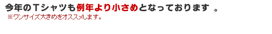 2012年限定Tシャツサイズ表
