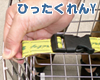 ひったくれんY
