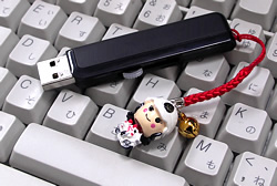 եեޥåȡUSB꡼ˤ